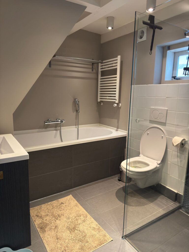 regular cleaning services